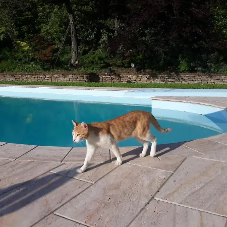 La Giorgetta 3* 오바다