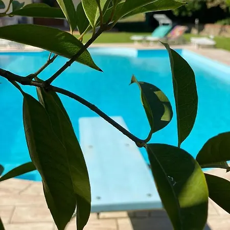 La Giorgetta