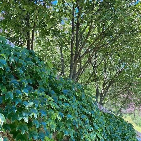 Bed & Breakfast La Giorgetta 3*