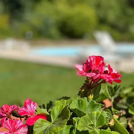 La Giorgetta *