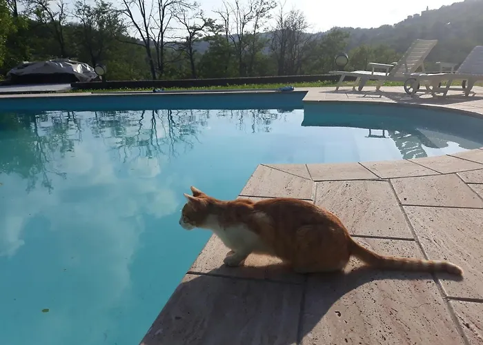 Oda ve Kahvaltı La Giorgetta Ovada