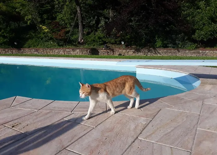 La Giorgetta 3* Ovada